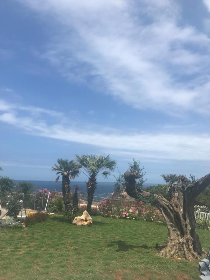 Cocciu D'Amuri Terrasini Kültér fotó