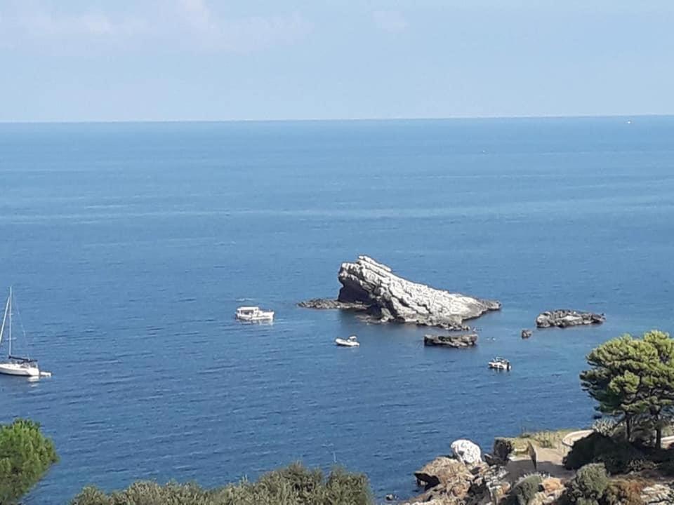 Cocciu D'Amuri Terrasini Kültér fotó